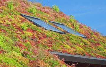 Smailholm living roof systems