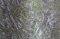 Smailholm fibreglass roof work